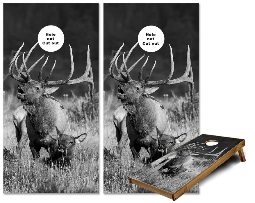 Bugling Bull Elk with cow cornhole wraps