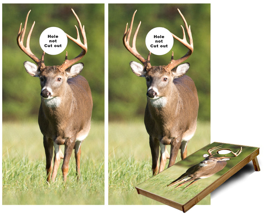 Front Facing Deer White Tail Buck cornhole wraps