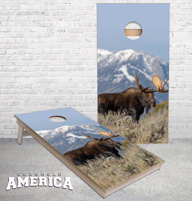 Moose with Mountain View Cornhole Boards