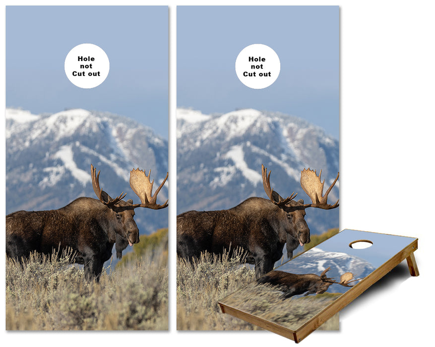 Moose with Mountain View Cornhole wraps