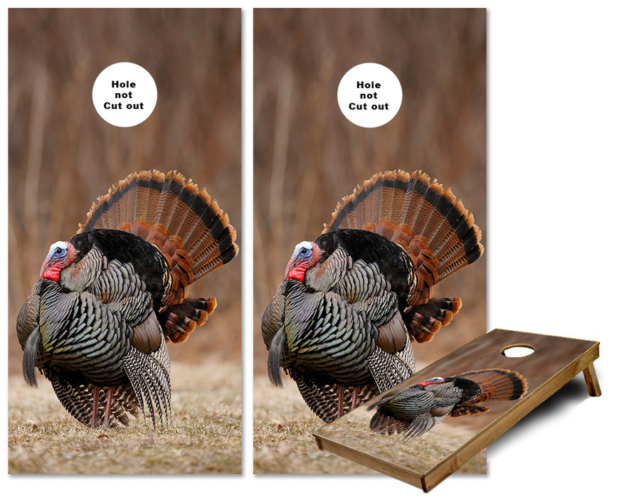 Tom the Turkey all fanned out cornhole wraps