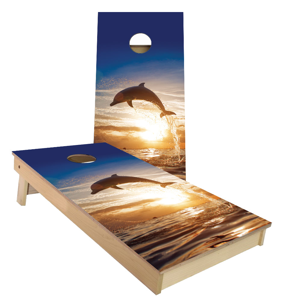 dolphins cornhole